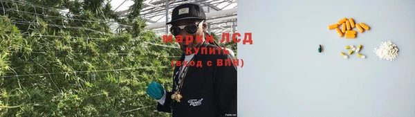 ГАЛЛЮЦИНОГЕННЫЕ ГРИБЫ Баксан