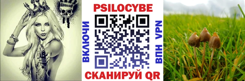 где можно купить наркотик  Сертолово  Псилоцибиновые грибы GOLDEN TEACHER 